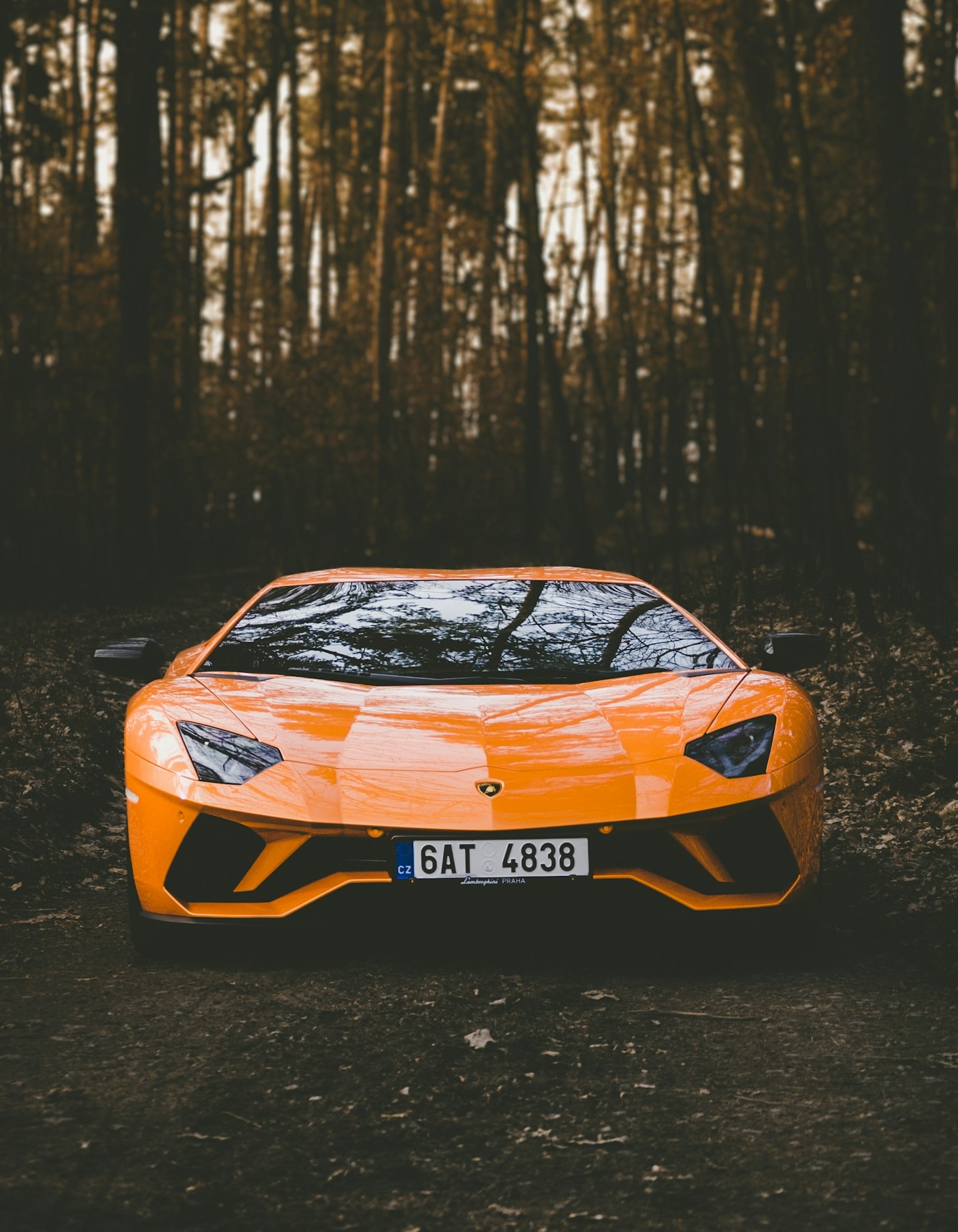 How Dealerships Are Adapting to the Digital Age